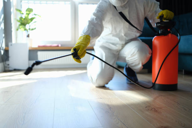 Reliable Odor Removal contractor in Great Falls, VA by Trauma Clean Pros